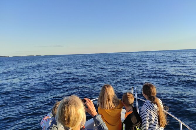 Private Guided Sunset Dolphin Watching in Adriatic Sea - Watching dolphins without chasing them