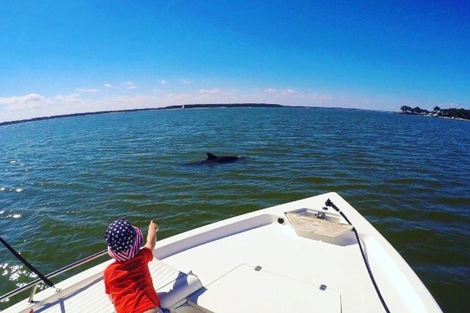 Private Hilton Head Dolphin Tour with Waterfront Dining Stop - Broad Creek and Calibogue Sound set the tone