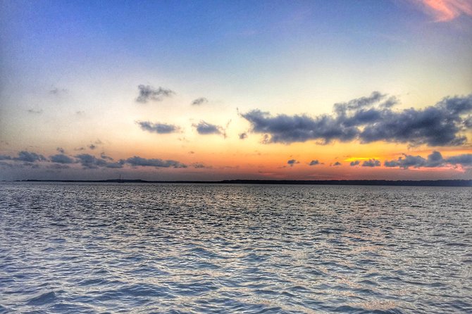 Private Hilton Head Dolphin Tour with Waterfront Dining Stop - Is the $413.02 group price good value?