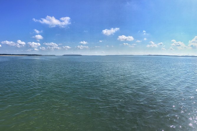 Private Hilton Head Dolphin Tour with Waterfront Dining Stop - Who will enjoy this tour most?