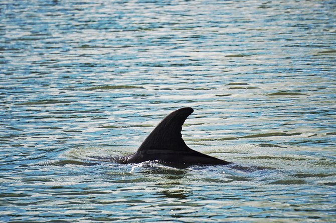 Private Hilton Head Dolphin Tour with Waterfront Dining Stop - Harbourtown lighthouse from the water