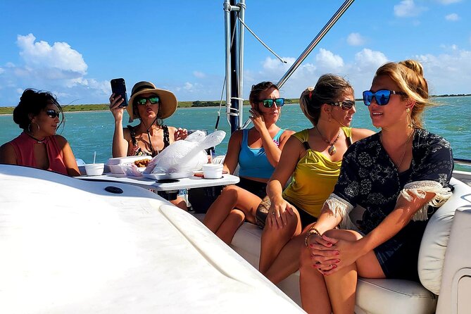 Private Historical Wildlife and Dolphin Cruise South Padre Island - Shade, seating, and the boat details