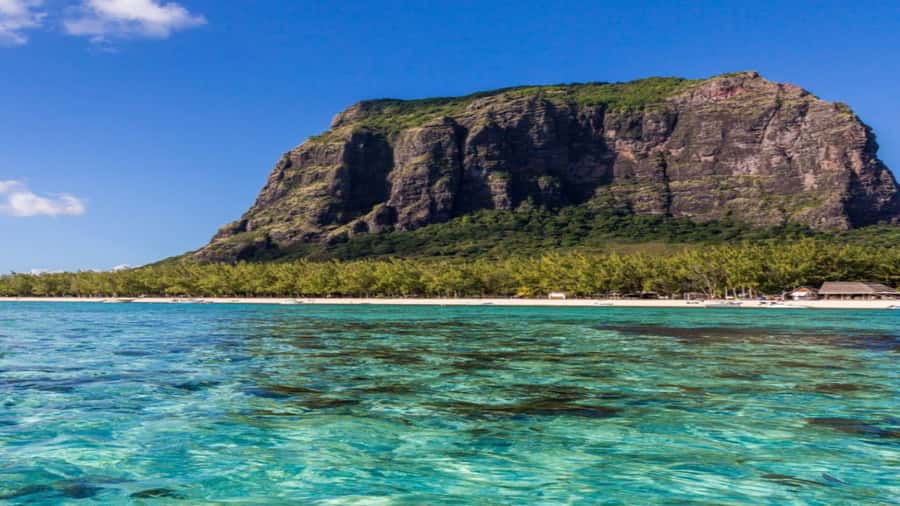 Private Île aux Bénitiers Boat: Dolphin Snorkeling & Lobster - Beach time and lagoon relaxation