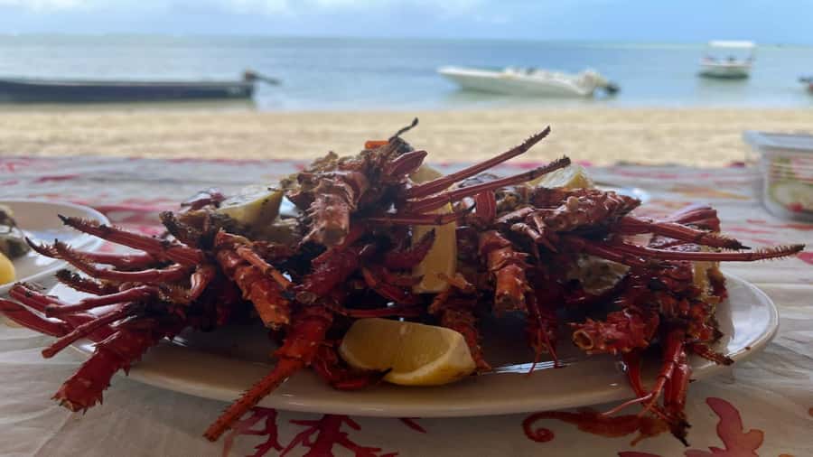 Private Île aux Bénitiers Boat: Dolphin Snorkeling & Lobster - Practical details to settle before booking