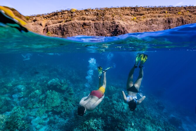 Private Kealakekua Bay Snorkel and Dolphin Watch - Why Kealakekua Bay is the main attraction