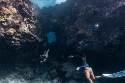 Private Kealakekua Bay Snorkel and Dolphin Watch