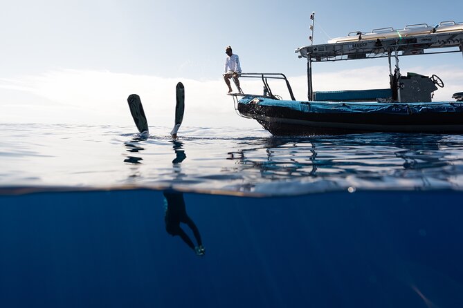 Private Kealakekua Bay Snorkel and Dolphin Watch - Who will enjoy this tour most