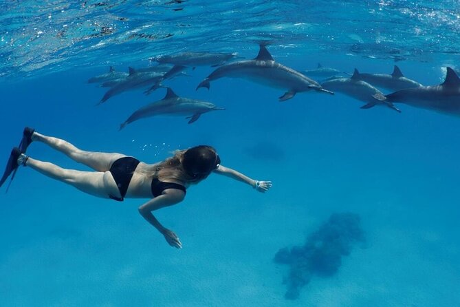 Private Luxury Dolphin House Boat Tour With Lunch - Hurghada - Leaving Hurghada for a private day at sea