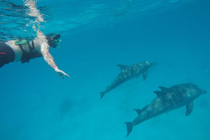Private Luxury Dolphin House Boat Tour With Lunch - Hurghada - Two Red Sea snorkeling stops, not just a quick swim