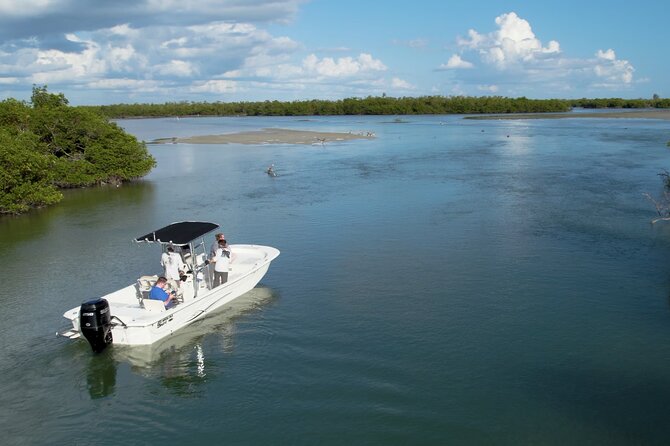 Private Marco Island / 10,000 Islands Sightseeing & Dolphin Tour - Key Points Before You Book