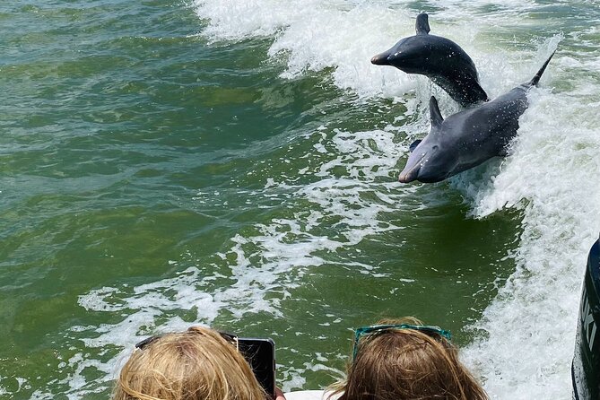 Private Marco Island / 10,000 Islands Sightseeing & Dolphin Tour - A Two-Hour Schedule That Moves Fast