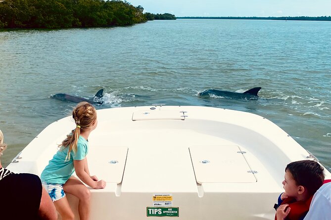Private Marco Island / 10,000 Islands Sightseeing & Dolphin Tour - Marco Island From the Water