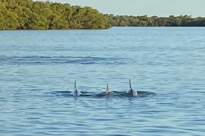 Private ONLY Dolphin Boat Tours - The safety details you should take seriously