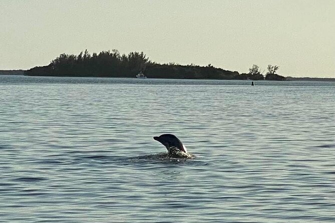 Private ONLY Dolphin Boat Tours - Who will enjoy this Cape Coral boat tour most