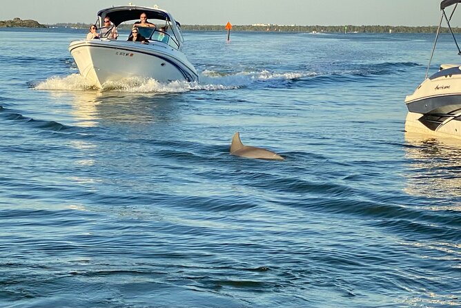 Private ONLY Dolphin Boat Tours - Dolphins, flamingos, and the changing evening light