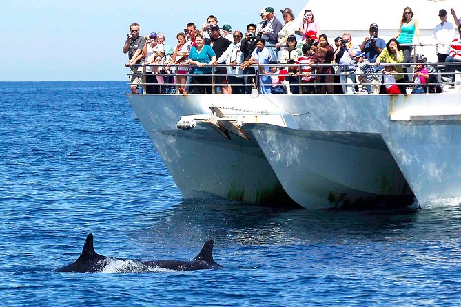 Private Port Stephens Day Trip from Sydney incl Dolphin Cruise - The early Sydney departure and long road north