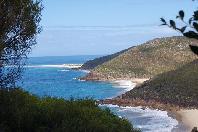 Private Port Stephens Day Trip from Sydney incl Dolphin Cruise - What the private guide adds
