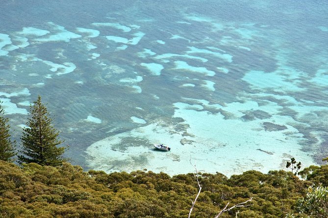 Private Port Stephens Day Trip from Sydney incl Dolphin Cruise - Is $559.45 per person fair value?