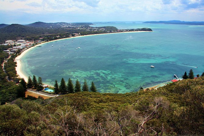Private Port Stephens Day Trip from Sydney incl Dolphin Cruise - Who will enjoy this Port Stephens day most?