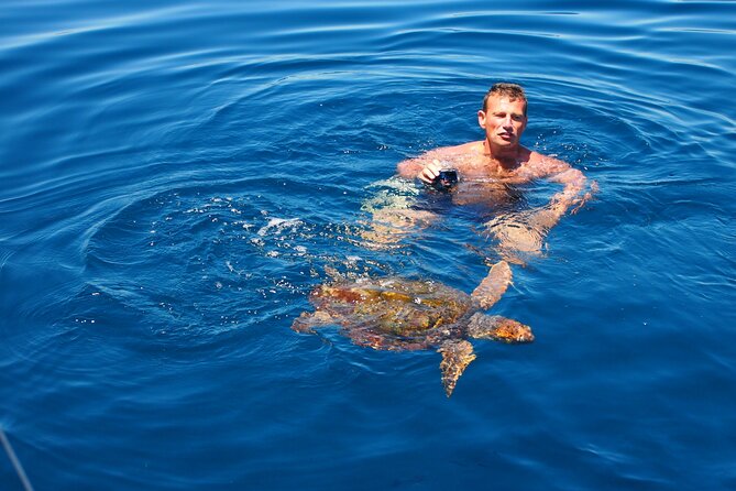 Private Sailing - dolphin Experience Estepona - drink & food - 4h - Food, Drinks, and the Sunset Option