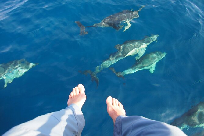 Private Sailing - dolphin Experience Estepona - drink & food - 4h - Sailing Toward Marbella or Gibraltar