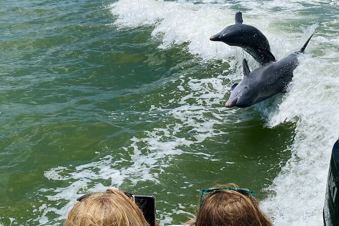 Private Shelling and Dolphin Excursion - A small boat into Ten Thousand Islands