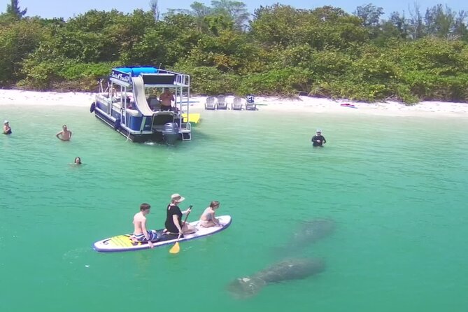 Private Siesta Funship Adventure/Dolphin Cruise Sandbar Stops - Key points to know before you book