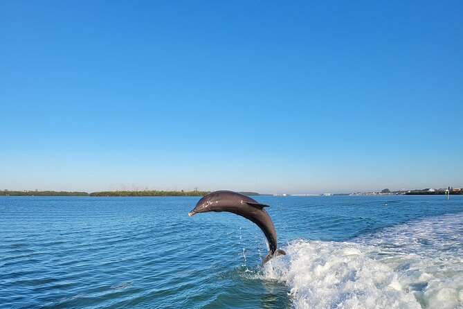 Private Siesta Funship Adventure/Dolphin Cruise Sandbar Stops - The tiki-bar stop and the BYOB setup