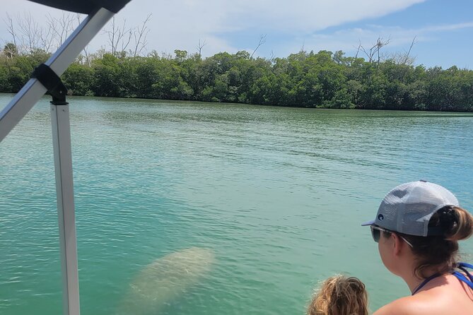 Private Siesta Funship Adventure/Dolphin Cruise Sandbar Stops - What the private format adds