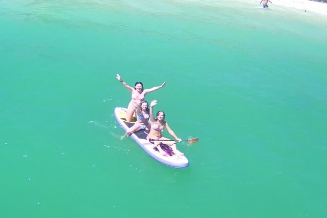 Private Siesta Funship Adventure/Dolphin Cruise Sandbar Stops - Captain Joe, Cosmo, and the tone on board