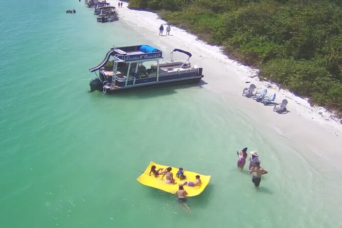 Private Siesta Funship Adventure/Dolphin Cruise Sandbar Stops - Who will get the most from this four-hour cruise