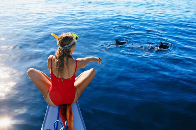Private Speed Boat Experience To Dolphin House in Hurhgada - Snorkeling over Red Sea coral