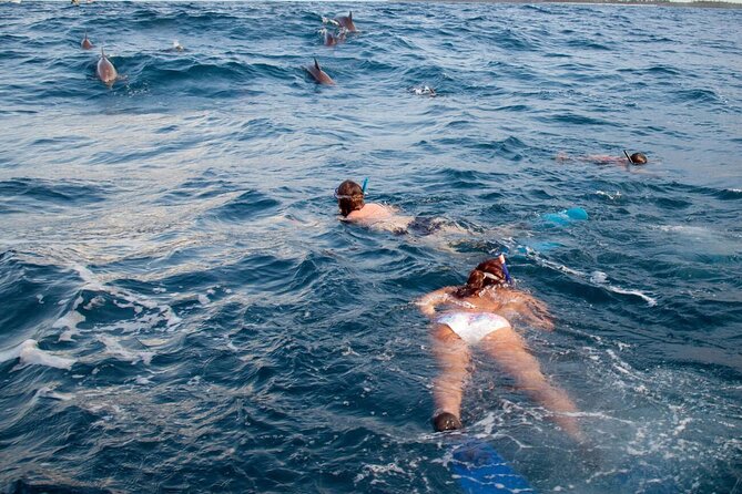 Private Speed Boat Experience To Dolphin House in Hurhgada - Who should book this Hurghada experience?