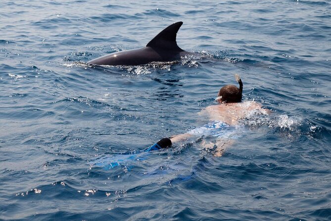 Private Speed Boat Experience To Dolphin House in Hurhgada - Booking details and cancellation