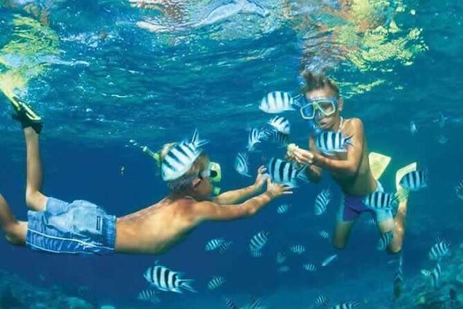 Private Speed Boat Snorkeling with Dolphins Trip - Hurghada - Booking details that affect the decision