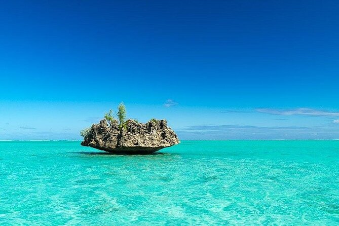 Private Speed Boat Tour and Dolphin Encounter at Ile aux Benitier - Is $312.02 per person fair?