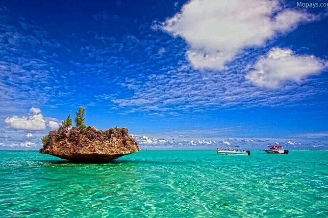 Private Speed Boat Tour and Dolphin Encounter at Ile aux Benitier - Who will enjoy this day most?