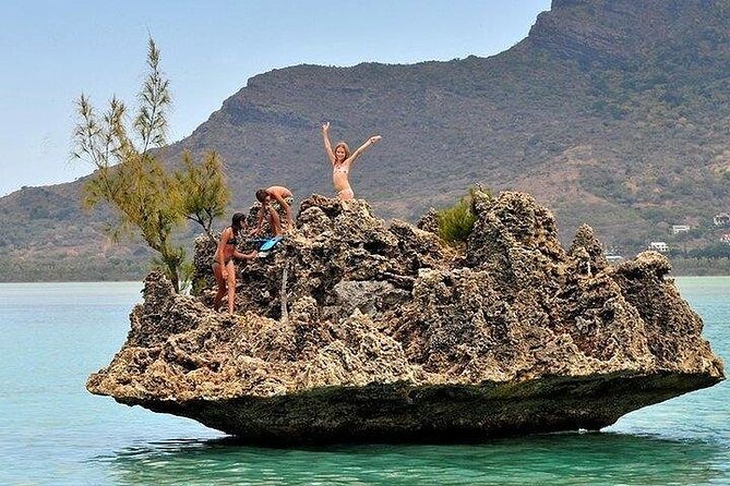 Private Speed Boat Tour and Dolphin Encounter at Ile aux Benitier - Weather, food, and what to pack