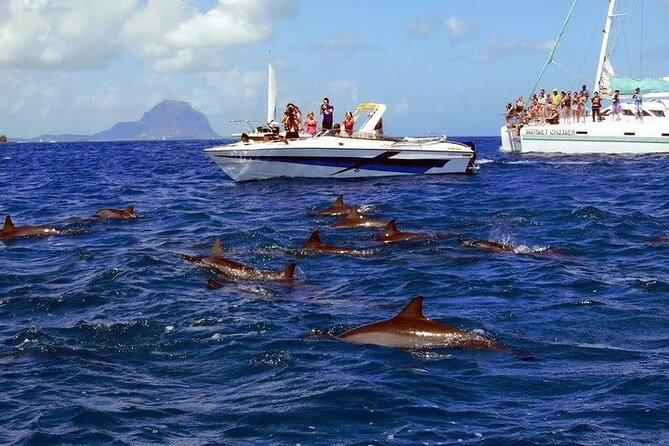 Private Speed Boat Tour and Dolphin Encounter at Ile aux Benitier - Should you book the Ile aux Benitiers speedboat tour?
