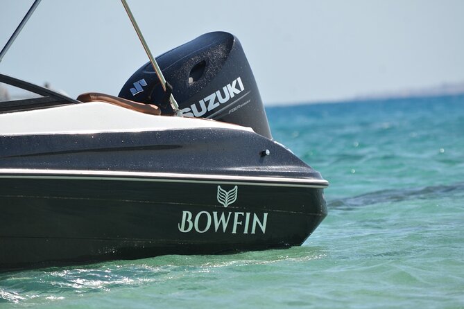 Private Speedboat Dolphins and Snorkelling Cruise in Hurghada - How much value do you get for $10?