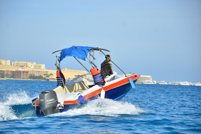 Private Speedboat Excursion Dolphin House Discovery - Hurghada - Key points at a glance