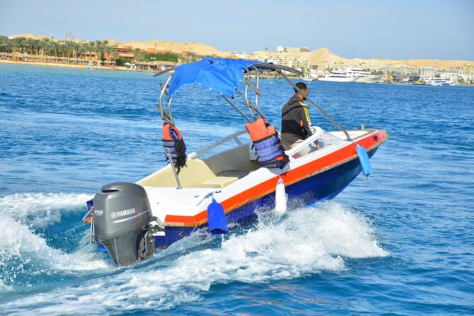 Private Speedboat Excursion Dolphin House Discovery - Hurghada - The ride to Dolphin House