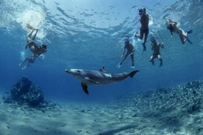 Private Speedboat To Dolphin House With Parasailing - Hurghada - A private boat changes the feel of the morning