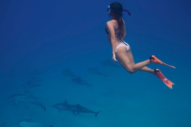 Private Speedboat To Dolphin House With Parasailing - Hurghada - Who should book this Hurghada excursion?