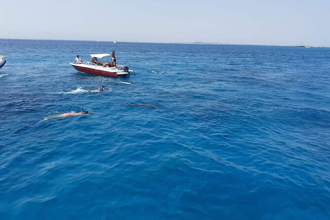 PRIVATE TOUR ! 4-Hours Swiming with dolphins, snorkeling, island by speed boat - What the private format really gives you