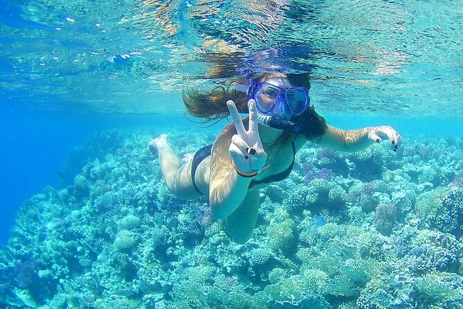 PRIVATE TOUR ! 4-Hours Swiming with dolphins, snorkeling, island by speed boat - Equipment, guide, snacks, and drinks