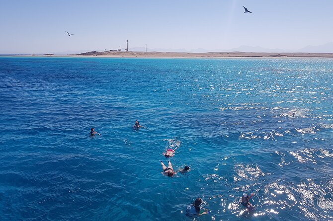 PRIVATE TOUR ! 4-Hours Swiming with dolphins, snorkeling, island by speed boat - The sunken ship and its fish