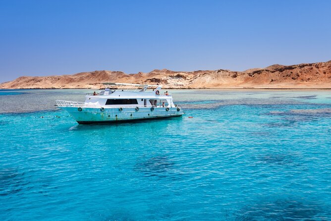 Private Tour to Dolphins house Sea hero of Egypt snorkeling - What the private format really means