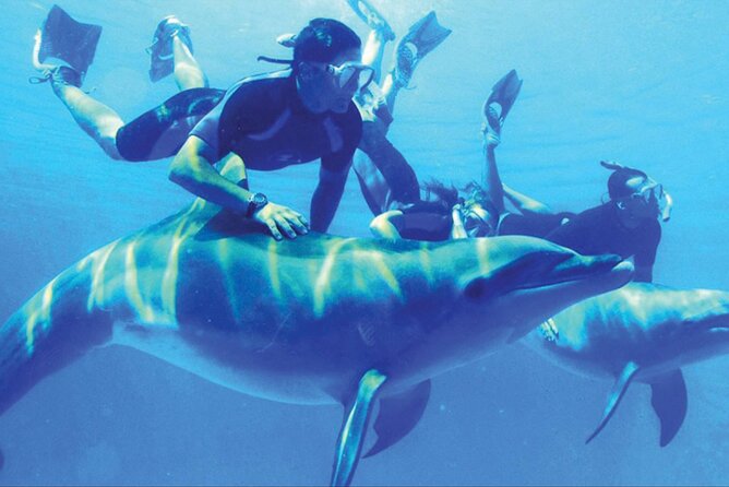 Private Tour to Dolphins house Sea hero of Egypt snorkeling - Who will enjoy this Hurghada boat trip most?