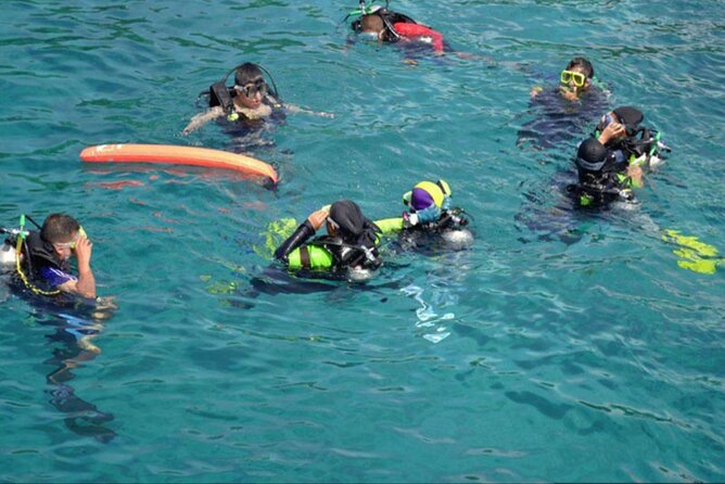 Private Tour to Dolphins house Sea hero of Egypt snorkeling - Practical details before you book